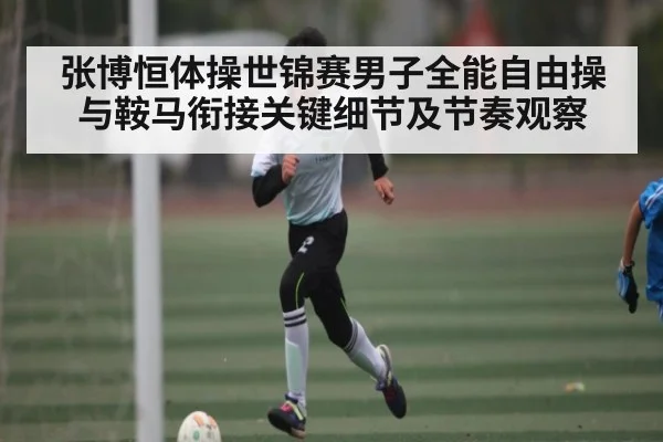张博恒体操世锦赛男子全能自由操与鞍马衔接关键细节及节奏观察